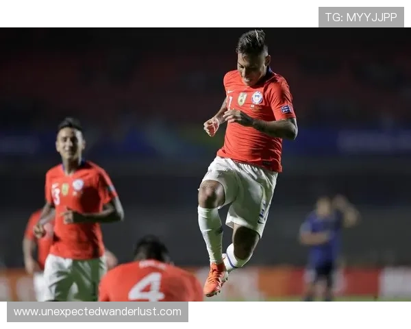 智利队比赛亮点