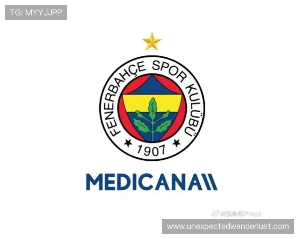 费内巴切转会策略聚焦本土新星与性价比引援，持续提升阵容深度